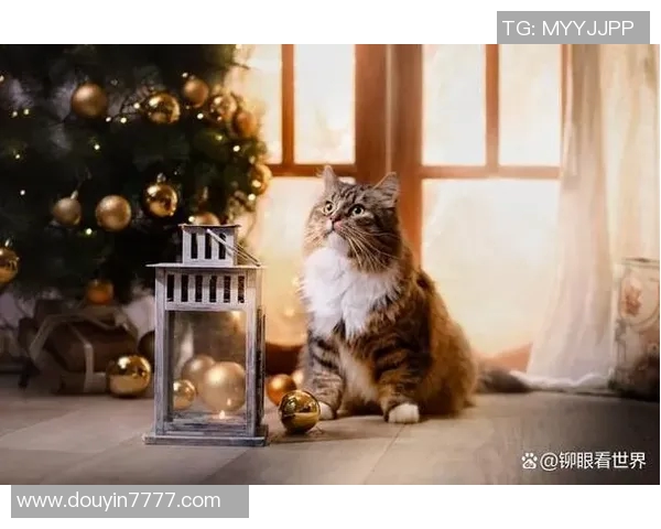 揭秘你不知道的VAR背后冷知识 10个鲜为人知的技术秘密大公开 揭秘你不知道的VAR背后冷知识 10个鲜为人知的技术秘密大公开